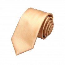 Simple&Chic Men's Business Ties Formal Necktie with Gift Box,Golden