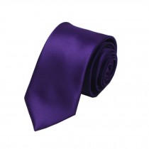 Simple&Chic Men's Business Ties Formal Necktie with Gift Box,Dark Purple