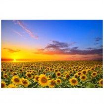 Sunflowers, Fashionable Wooden Puzzle For Adult 1000 Piece Jigsaw Puzzle