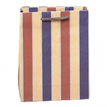10 Pcs Blue Red Striped Kraft Paper Gift Bags Shopping Bags Boutique Bags