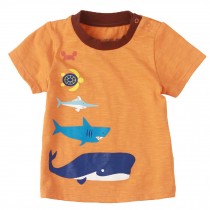 Sea World Pure Cotton Infant Tee Baby Toddler T-Shirt ORANGE 73 CM (6-12M)