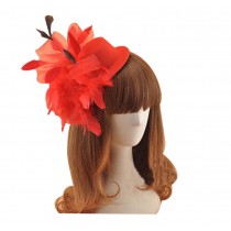 Beautiful Charming Feather Hairpin for Parties/Stage/Wedding,Hat,Red