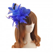 Beautiful Charming Feather Hairpin for Parties/Stage/Wedding,Hat,Blue