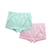 2 Pcs Cotton Panties Kids Underpants Cartoon Little Girls Underwears Cute Briefs