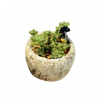 Creative Made Of Cement Succulent Plant Pots Flowerpot