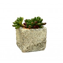 Made Of Cement European Style Succulent Plant Pots Flowerpot
