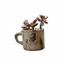 Made Of Cement Vintage Style Succulent Plant Pots White Flowerpot