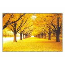 1000 Pieces Jigsaw Puzzle DIY Ginkgo Road Scape Wooden Assemble Toy for Adult