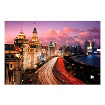 1000 Pieces Jigsaw Puzzle for Adult Night Shanghai Chinese Cityscape Wooden Puzzle Decoration Gift