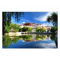1000 Pieces Wooden Jigsaw Puzzle DIY Potala Palace Assemble Toy for Adult