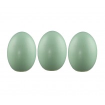 12 Pieces Wooden Blank Easter Eggs Kids Children DIY Creative Paintable Decoration - Green