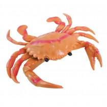 Novelty Simulated Crab Model Lifelike Durable Plastic Kids Educational Toys